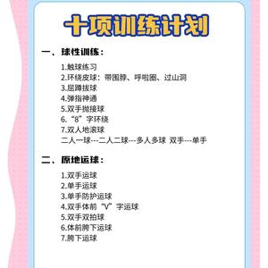 《篮球专项体能训练实践》